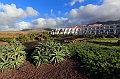 2016-11-08_165325 gran-canaria-2016